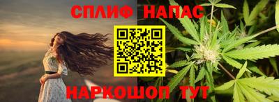 гидропоника Пугачёв