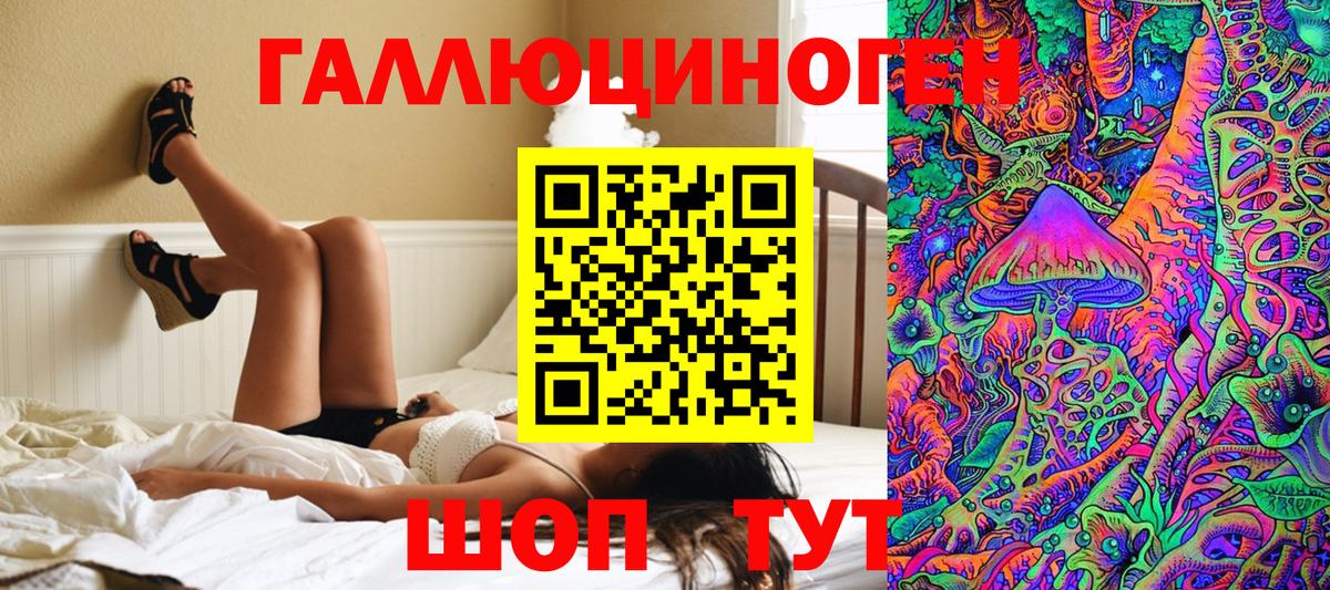 Галлюциногенные грибы Psilocybine cubensis Прокопьевск